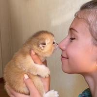 A woman and a small orange kitten rub noses affectionately.
