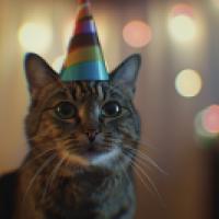 Close-up image of a cat wearing a colorful striped party hat. The cat has prominent whiskers and is looking directly at the camera with large, expressive eyes. The background is softly blurred with bokeh lights in various colors, suggesting a festive or c