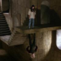 A scene with an architectural illusion where the laws of gravity appear to be defied. It features two individuals on different planes of a room that is constructed in such a way that one person seems to be standing normally on the floor, while the other a