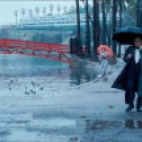 A park scene with a body of water, a red bridge, several ducks swimming, two people with umbrellas (one black, one colorful), and a backdrop of palm trees, a fountain, and a white building on a hill.