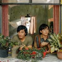 Two men looking out a window leaning on a window sill with lots of potted plants.