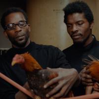 Two men wearing black shirts sit holding roosters.