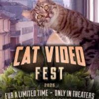 Promotional poster for Cat Video Fest 2025 featuring a wide-eyed cat with a tilted head against an urban backdrop