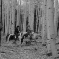 Black and white image of two individuals riding horses through a forest of tall, slender trees. The forest floor is covered with fallen leaves and no visible trail