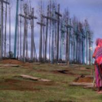 A person wrapped in a colorful blanket stands in front of a field of tall wooden crosses, holding an object possibly a candle or flower. The sky is overcast and the ground is uneven