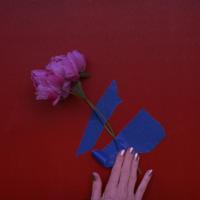 There is a hand holding a hot pink peony taped with blue tape to a red red background.