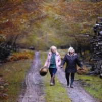 Two people walk along a forest path carrying wicker baskets, with autumn-colored trees surrounding them and a stack of cut logs on one side. The ground is a dirt trail with patches of grass and fallen leaves.