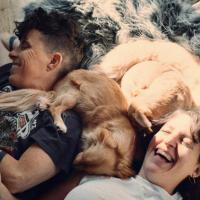 A close-up photo of a couple laughing while laying in the sunshine cuddling with two fluffy pets.