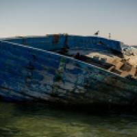 image from the film Strange Fish