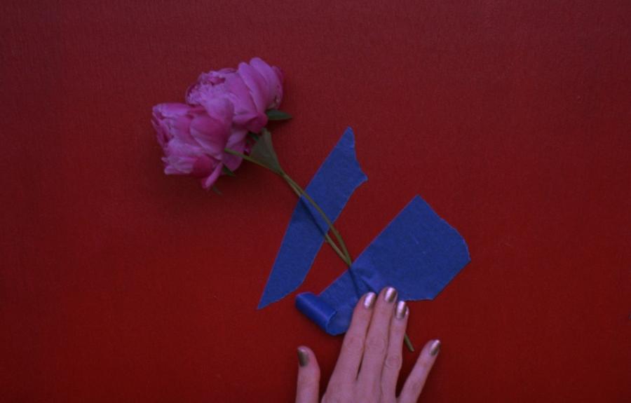 There is a hand holding a hot pink peony taped with blue tape to a red red background.
