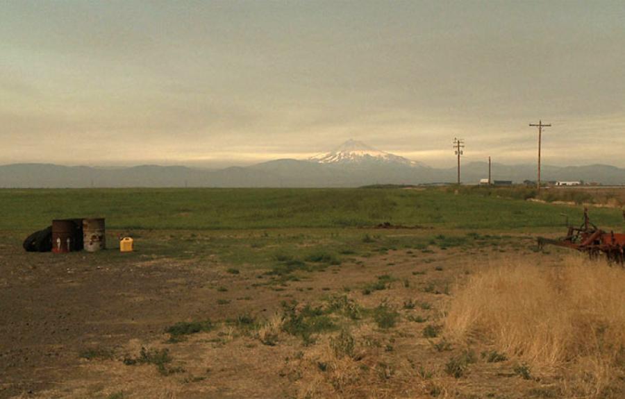 image from the film L. COHEN