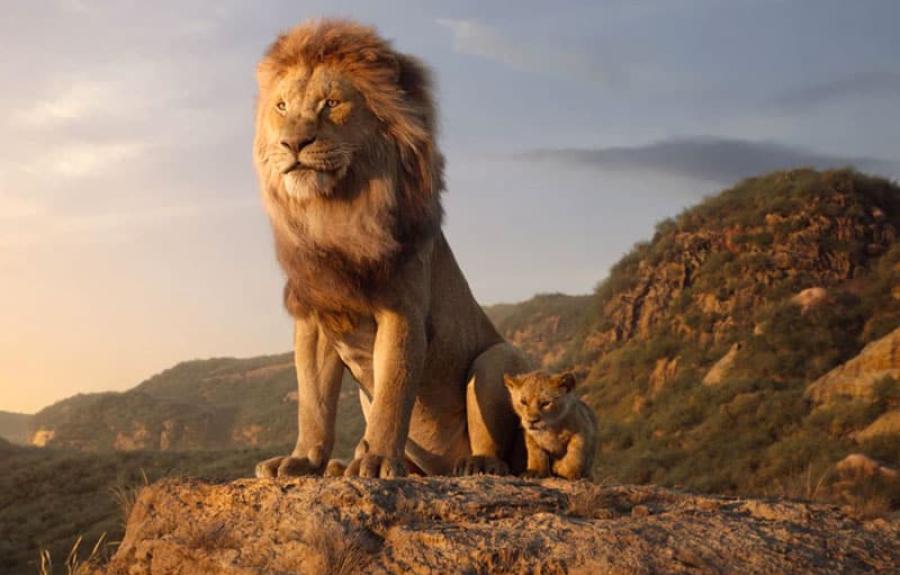 image from the film THE LION KING (2019)