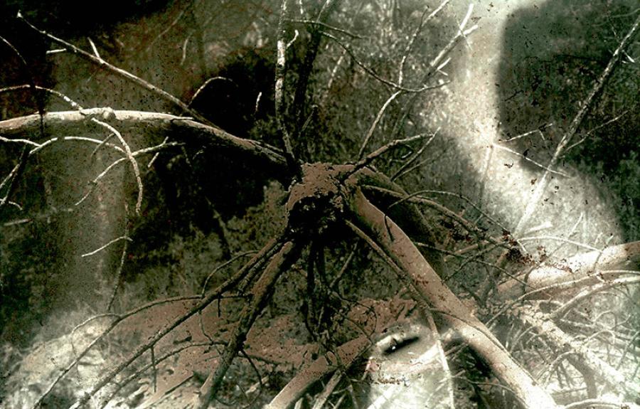 image from the projection performance SPECTRAL LANDSCAPE