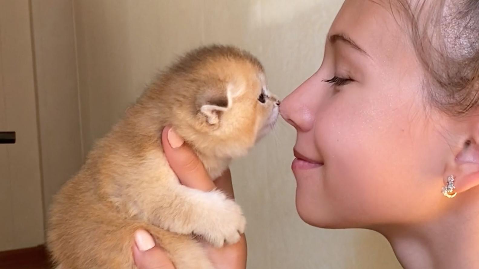 A woman and a small orange kitten rub noses affectionately.