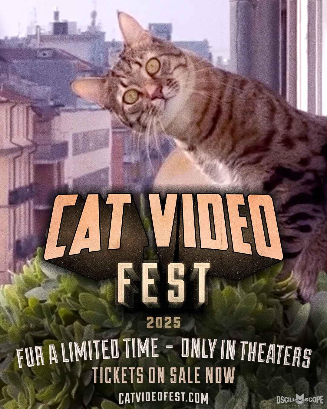 Promotional poster for Cat Video Fest 2025 featuring a wide-eyed cat with a tilted head against an urban backdrop