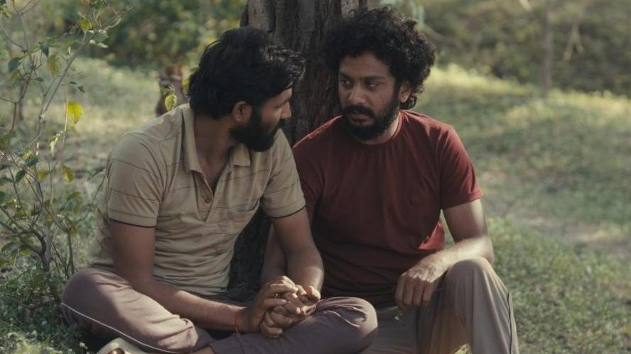 Two people sit on the ground outdoors, leaning against a tree and holding hands. The natural setting features grass and sparse vegetation, creating a quiet moment of connection.
