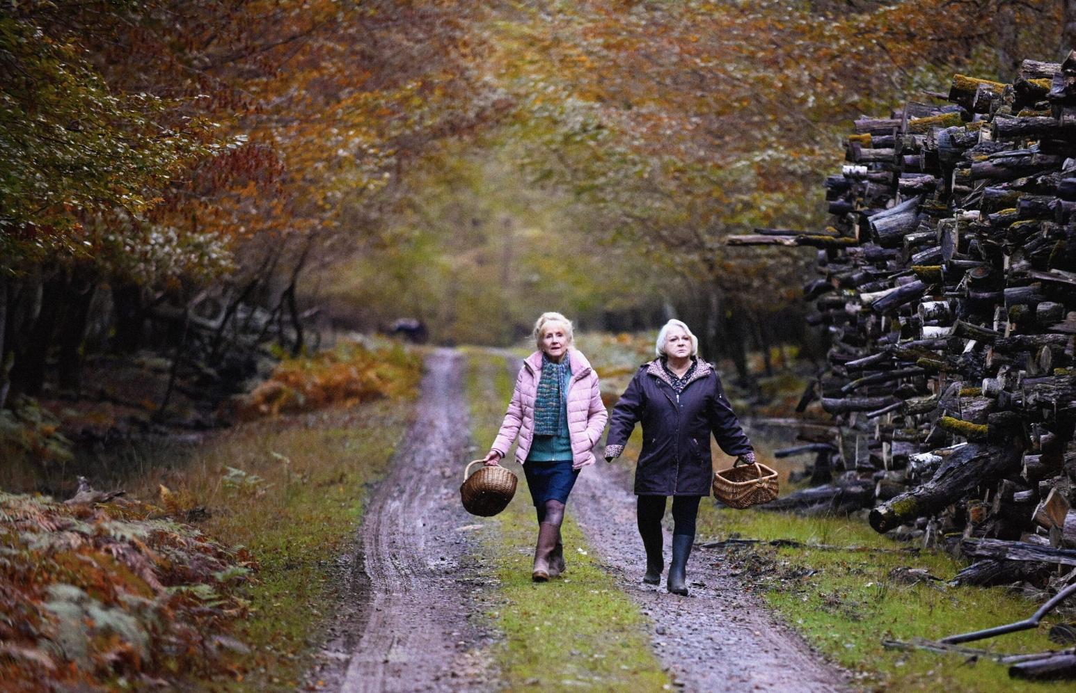 Two people walk along a forest path carrying wicker baskets, with autumn-colored trees surrounding them and a stack of cut logs on one side. The ground is a dirt trail with patches of grass and fallen leaves.