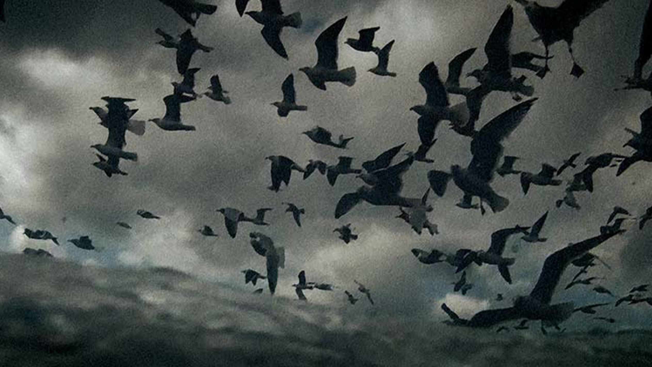 A flock of birds flying against a stormy sky.