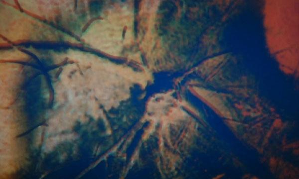 image from the film Your Eyes Are Spectral Machines
